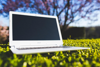 Ein geöffneter Laptop auf einer Wiese